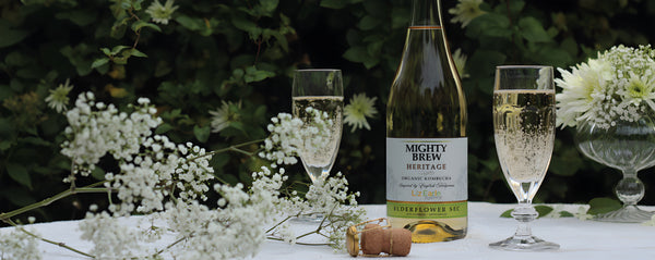 Mighty Brew Premium Organic Kombucha is available at Organic Soda Pops