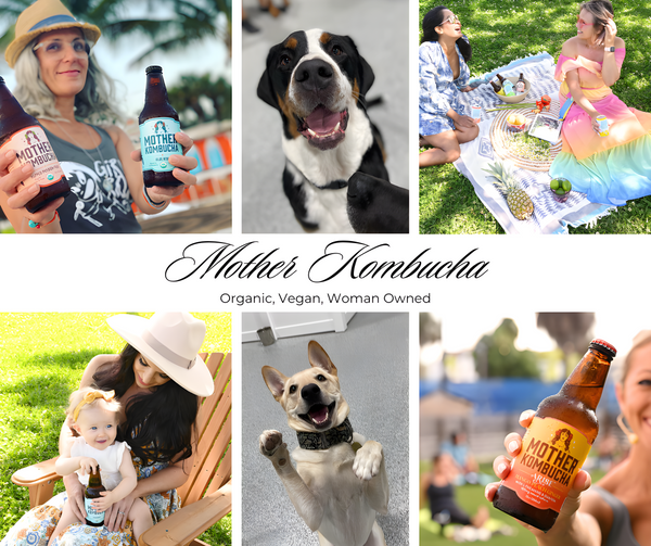 Mother Organic Kombucha is available at Organic Soda Pops