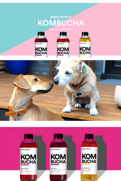 Seek North Organic Kombucha is available at Organic Soda Pops
