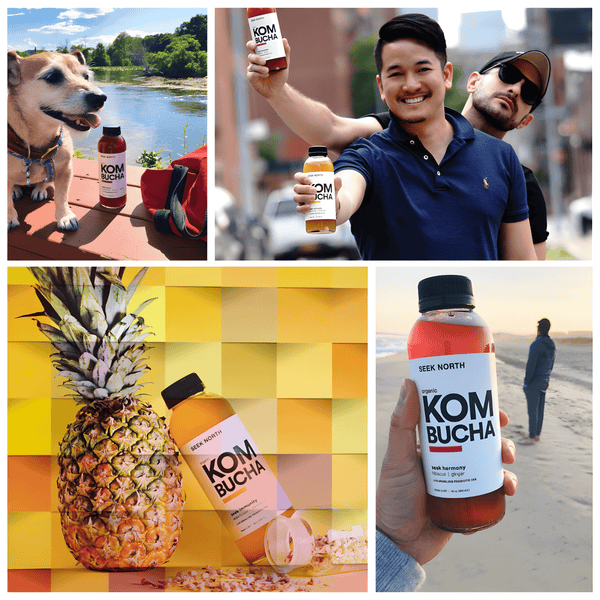 Seek North Organic Kombucha is available at Organic Soda Pops