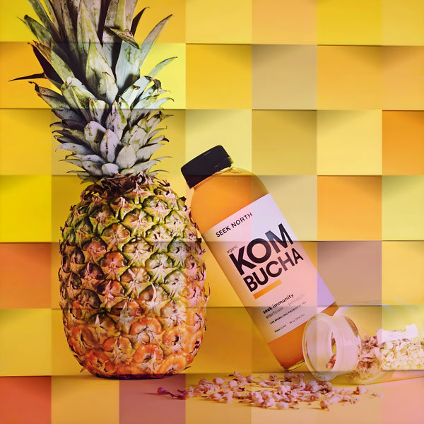 Seek North Organic Kombucha is available at Organic Soda Pops