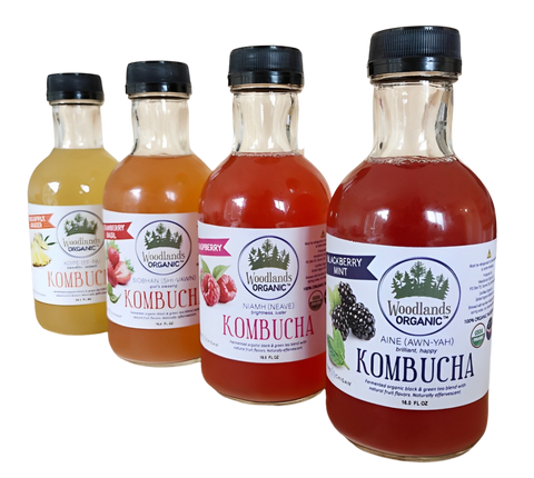 Woodlands Organic Kombucha is available at Organic Soda Pops