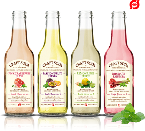 Craft Soda 100% Organic Soft Drink