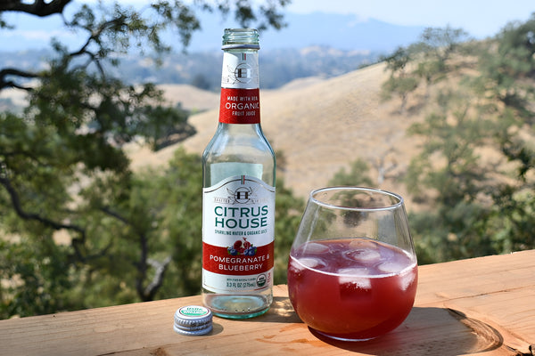Citrus House refreshing organic sparkling beverage with clean ingredients and real fruit juice