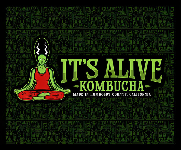 It's Alive kombucha is available at Organic Soda Pops.