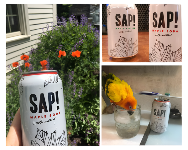 Sap! Organic Maple Soda