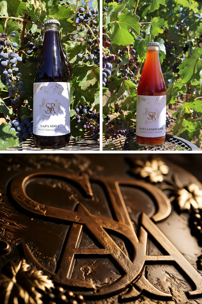 Purchase Sapa Sodas at Organic Soda Pops.
