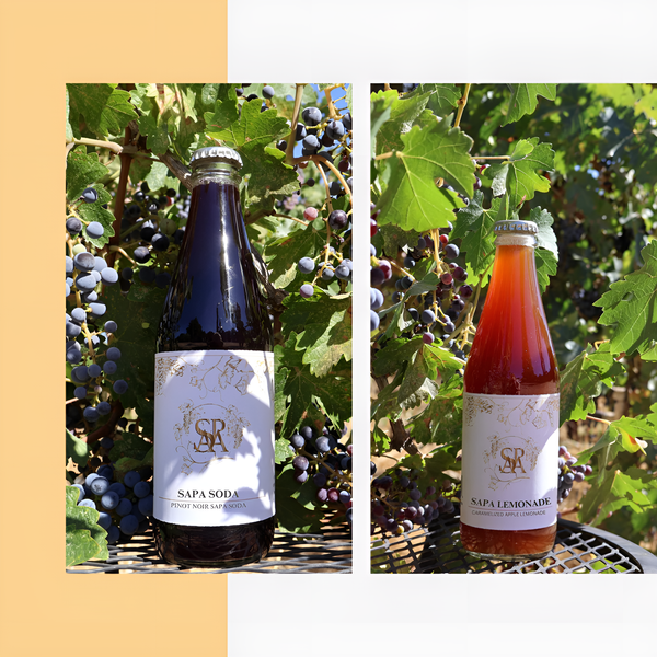 Sapa Sodas are available wholesale at Organic Soda Pops.