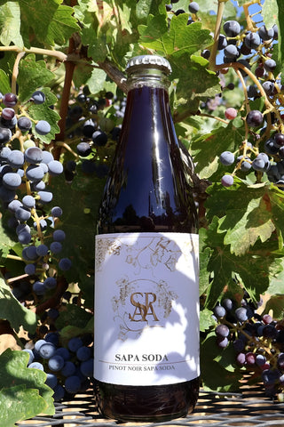 Buy Sapa Sodas online at Organic Soda Pops.