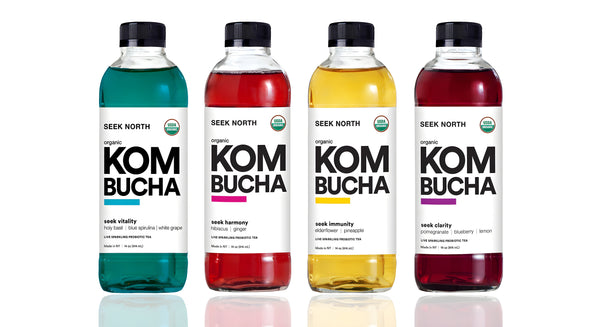 Seek North Organic Kombucha is available at Organic Soda Pops