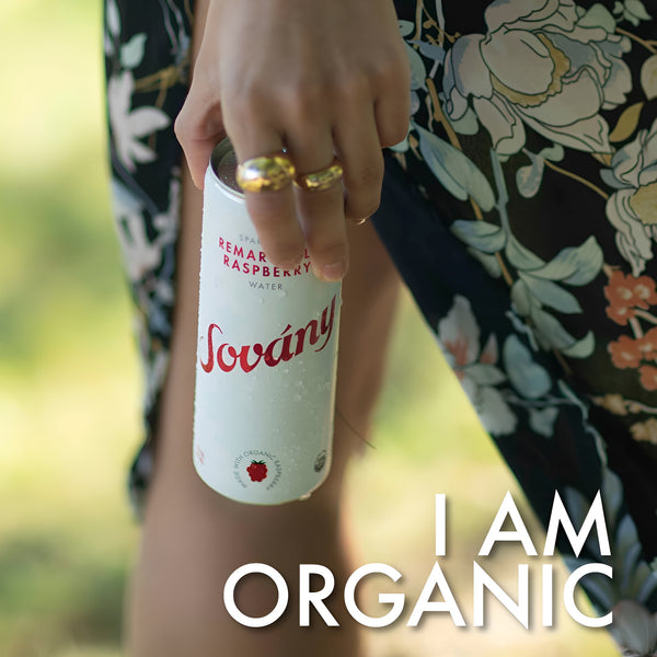 Sovány Organic Sparkling Fruit Water lifestyle image featuring naturally flavored sparkling hydration