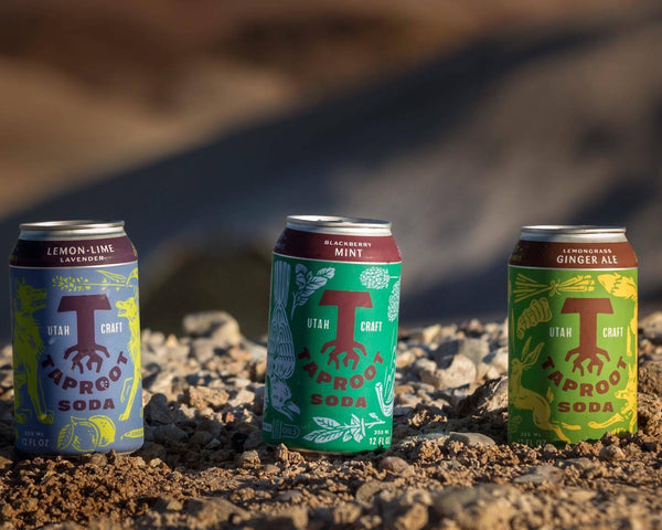 Taproot Soda assorted craft soda cans with real ingredients