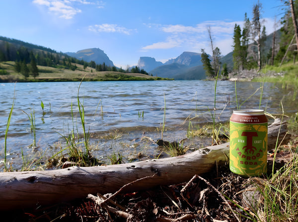 Taproot Ginger Ale Craft Soda
