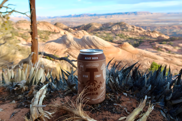 Taproot Soda natural Root Beer sweetened with local raw honey