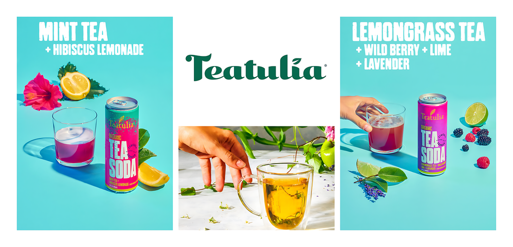 Teatulia Organic Tea Soda | Sparkling Organic Tea | Organic Soda Pops