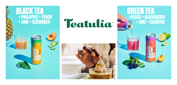 Teatulia premium organic tea soda sparkling botanical tea drink