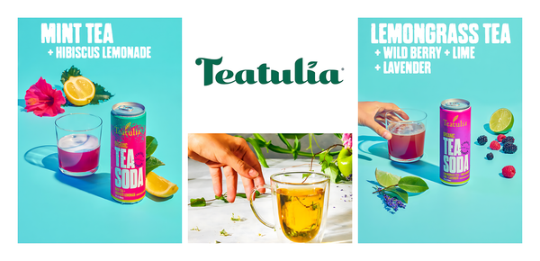 Teatulia USDA organic tea soda ready to drink