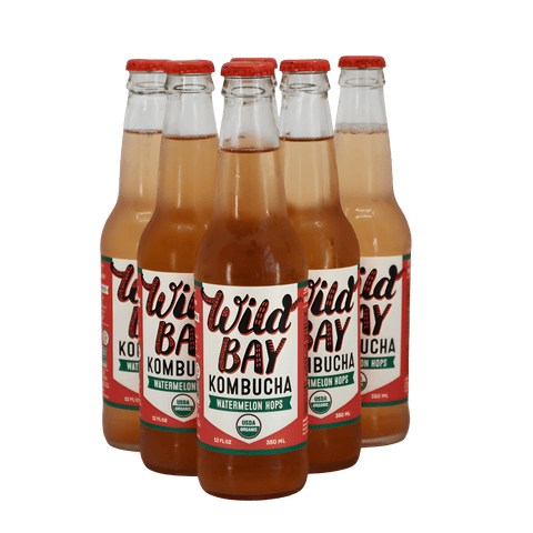 Wild Bay Organic Kombucha is available at Organic Soda Pops