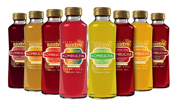 Reed's Culture Club Kombucha is available at Organic Soda Pops