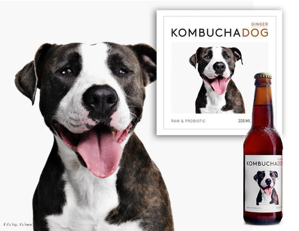 Kombucha Dog Raw, Probiotic, Organic Soft Drink is Available at Organic Soda Pops