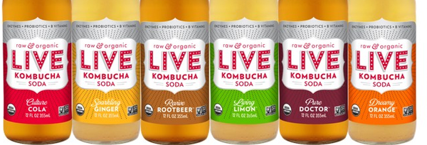 Live Kombucha Organic Soda
