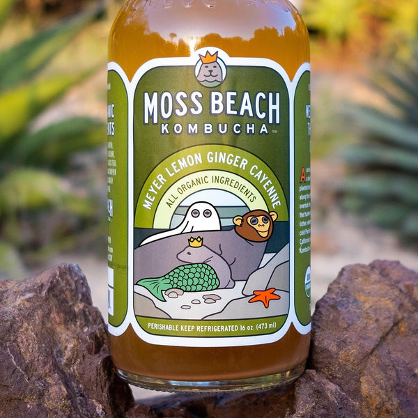 Moss Beach Organic Kombucha is available at Organic Soda Pops