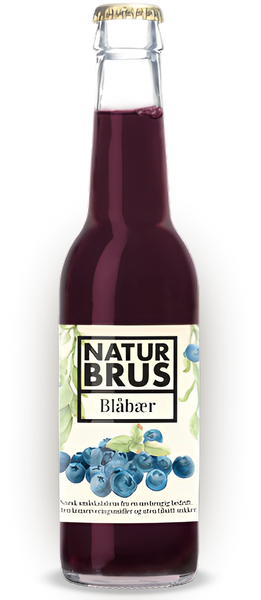 Naturbrus All Natural Craft Blueberry Soda is available at Organic Soda Pops