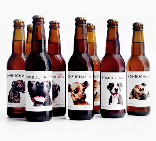 Kombucha Dog Organic Probiotic Soft Drink available at Organic Soda Pops