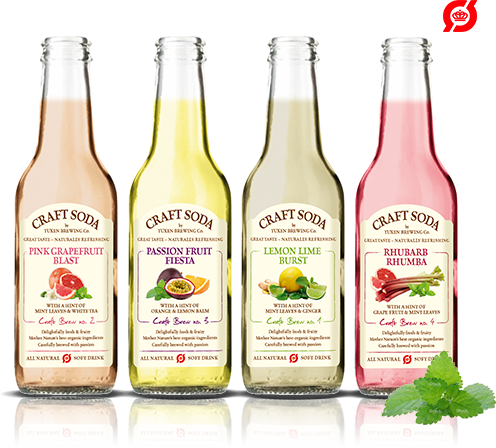 Craft Soda 100% Organic Soft Drink