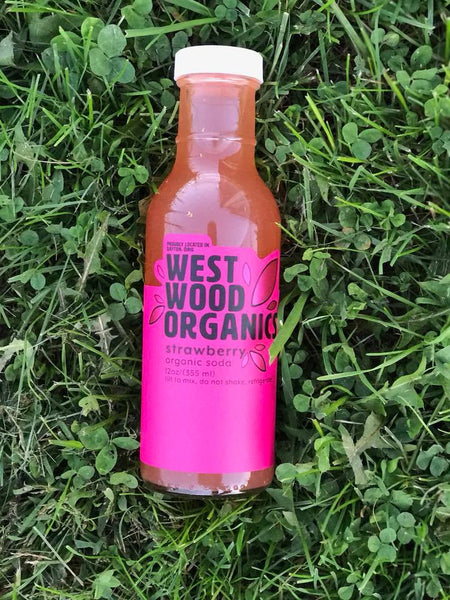 WestWood Organics Probiotic Soda